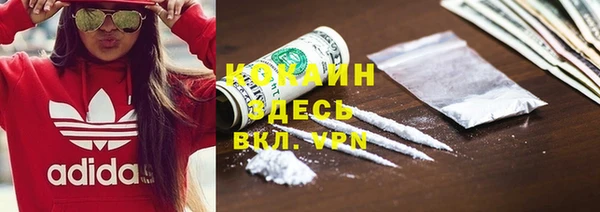 гидра Михайловка