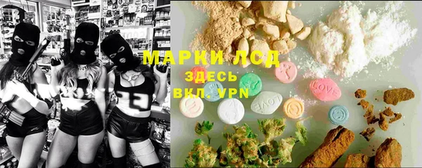 гидра Михайловка
