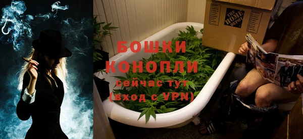 гидра Михайловка