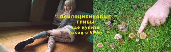 гидра Михайловка