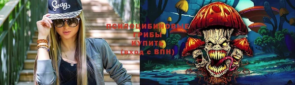 крисы Вязники