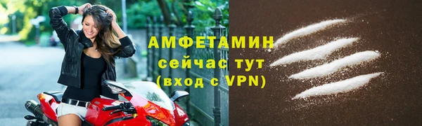 гидра Михайловка