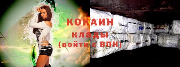 гидра Михайловка