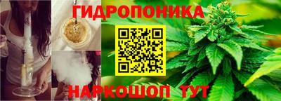 Альфа ПВП Балаково