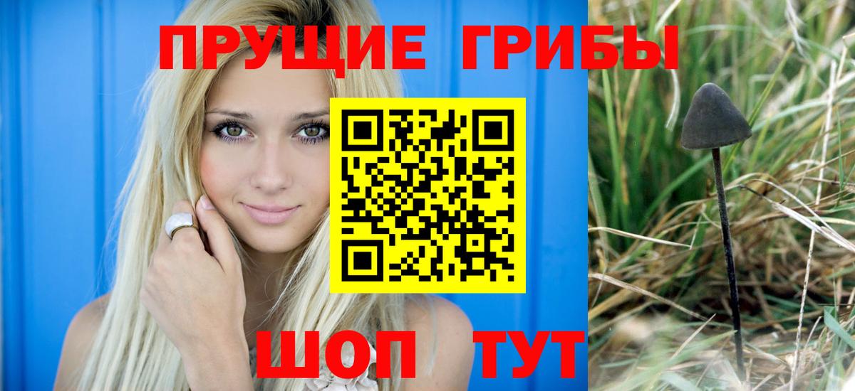 Джанкой  Псилоцибиновые грибы мицелий  Вход с VPN  Галлюциногенные грибы мицелий 