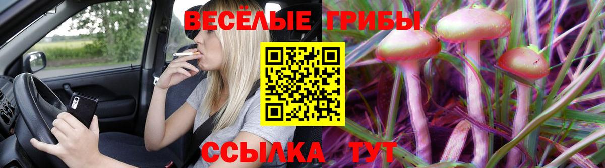 Галлюциногенные грибы мухоморы Джанкой